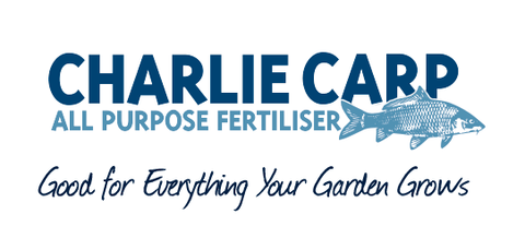 Charlie Carp