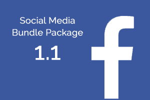 Package 1.1 Facebook Strategy and Reporting Only